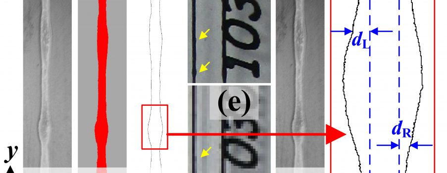 [J.19] Methodology for Evaluating Pattern Transfer Completeness in Inkjet Printing with Irregular Edges