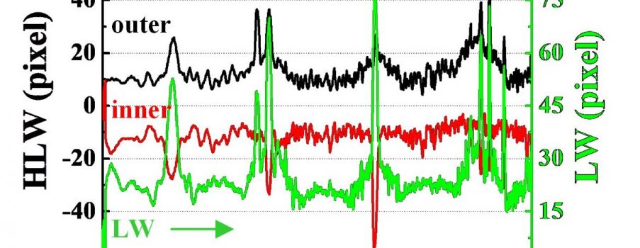 [J.30] Advanced qualification method for patterns with irregular edges in printed electronics